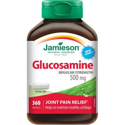 Glucosamine Regular Strength 500 mg