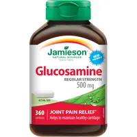 Glucosamine Regular Strength 500 mg