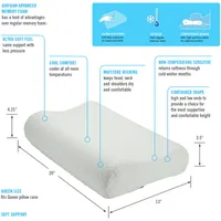 AirFoam Contour Pillow