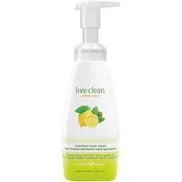 Lemon Mint Foaming Hand Wash