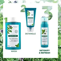 Detox Dry Shampoo with ORGANIC Aquatic Mint - All Hair Types
