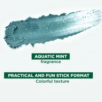 NEW Stick Mask with ORGANIC mint and clay