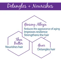 Densiage Redensifying Conditioner