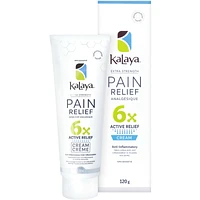 6X Extra Strength Pain Relief Cream