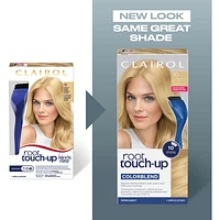 Root Touch-Up Permanent Color, Covers Gray, Instant Natural Looking Color