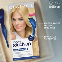 Root Touch-Up Permanent Color, Covers Gray, Instant Natural Looking Color