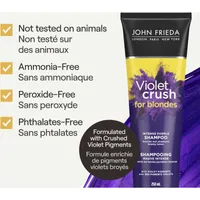 Violet Crush Intense Purple Shampoo