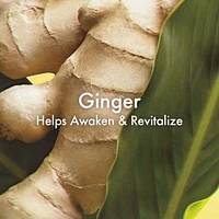 Ginger Essence™ Sensuous Skin Scent