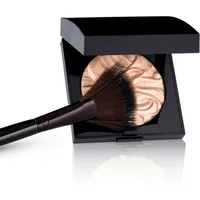 Fan Powder Brush