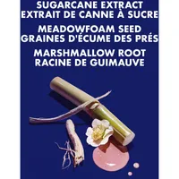 Sugarcane Extract & Meadowfoam Seed Silicone Free Miracle Styler Leave-in Treatment