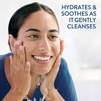 Gentle Skin Cleanser, Hydrating Face Wash & Body Wash, Ideal for Sensitive, Dry
