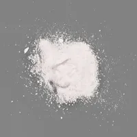 exfoliator II - facial powder exfoliator