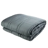 20lb Weighted Blanket, Queen, Unisex