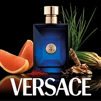 Versace Pour Homme Dylan Blue Eau de Toilette