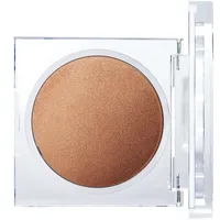 Luminizing Powder