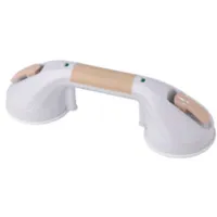Suction Cup Grab Bars