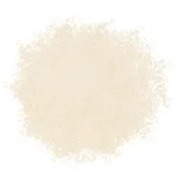 Phyto-Pigments Flawless Finishing Powder, 01 Translucent