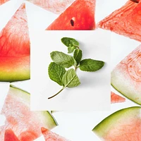Moisture Loving Body Wash - Watermelon + Fresh Mint