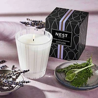 Cedar Leaf & Lavender Classic Candle