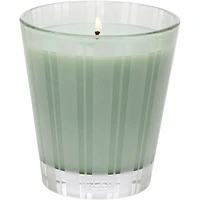 Wild Mint & Eucalyptus Classic Candle