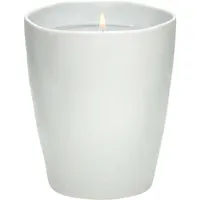 White Tea & Rosemary Deluxe Candle