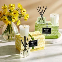 Grapefruit Petite Candle & Diffuser Set