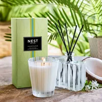 Coconut & Palm Classic Candle