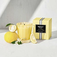 Sunlit Yuzu & Neroli Classic Candle