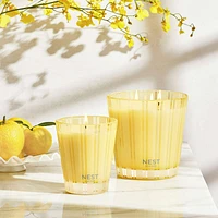 Sunlit Yuzu & Neroli 3-Wick Candle