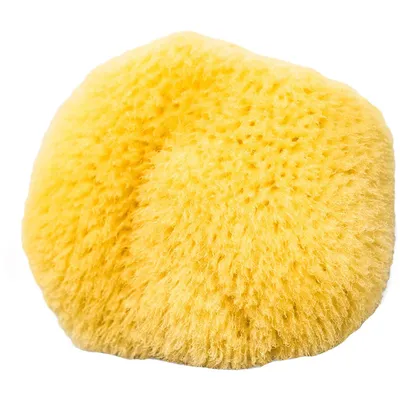 Caribbean Silk Sea Sponge