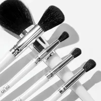 5 Piece Brush Set