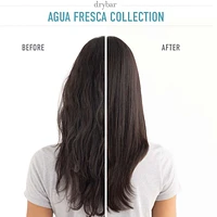 Agua Fresca Hydrating Conditioner