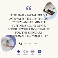 Daily Glow Facial Dry Brush