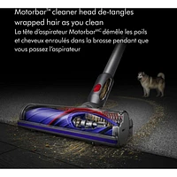 Dyson V8 Cordless Vacuum