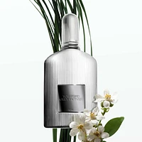 Grey Vetiver Parfum