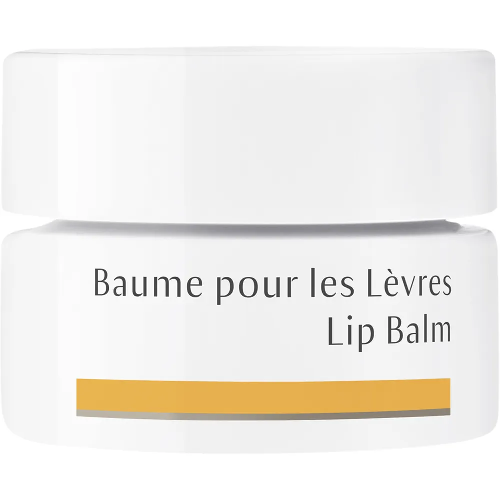 Lip Balm