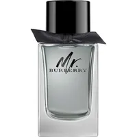 Mr. Burberry Eau de Toilette for Men