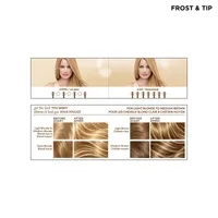 Frost & Tip Original Hair Highlighting Kit