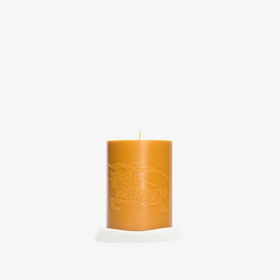 Botanic Garden Candle in Pear yellow | Burberry® Official