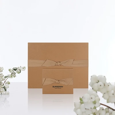 Aftercare Replacement in Stone - Men | Burberry® Official