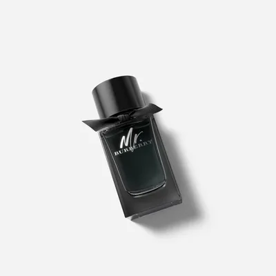 Mr. Burberry Eau de Parfum 100ml - Men | Burberry® Official