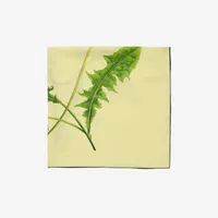 Dandelion Silk Scarf in Sherbet | Burberry® Official