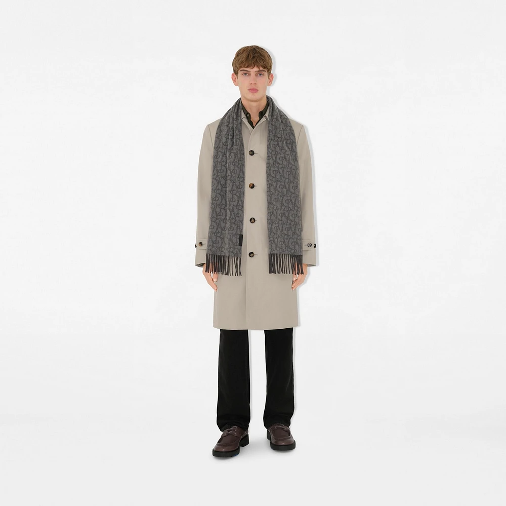 B Charm Cashmere Scarf in Iron grey | Burberry® Official