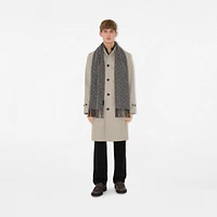 B Charm Cashmere Scarf in Iron grey | Burberry® Official