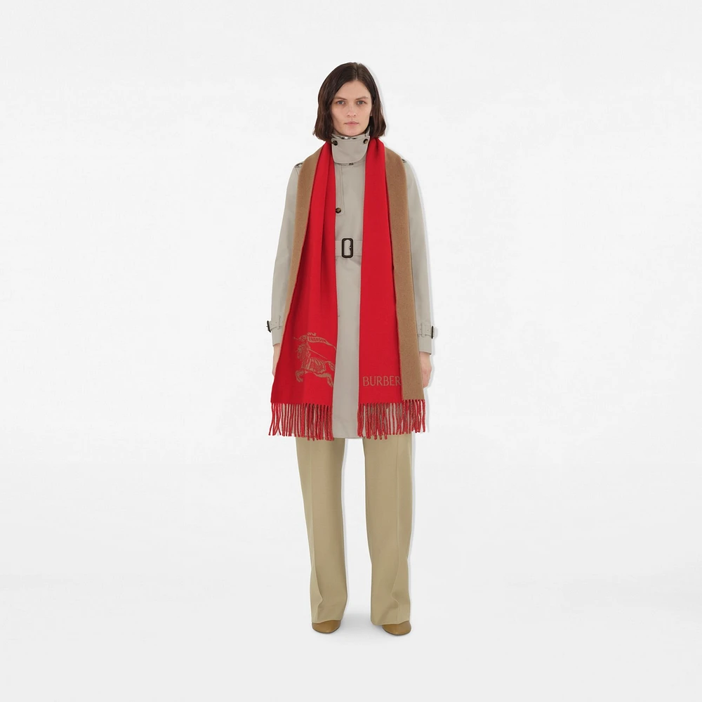Reversible EKD Cashmere Scarf in Pillar/camel | Burberry® Official