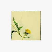 Dandelion Silk Scarf in Sherbet | Burberry® Official