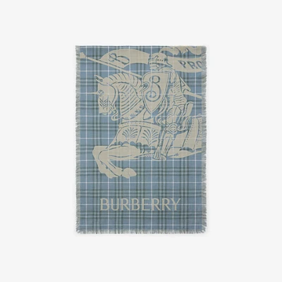 Wide EKD Check Wool Scarf in Pewter | Burberry® Official