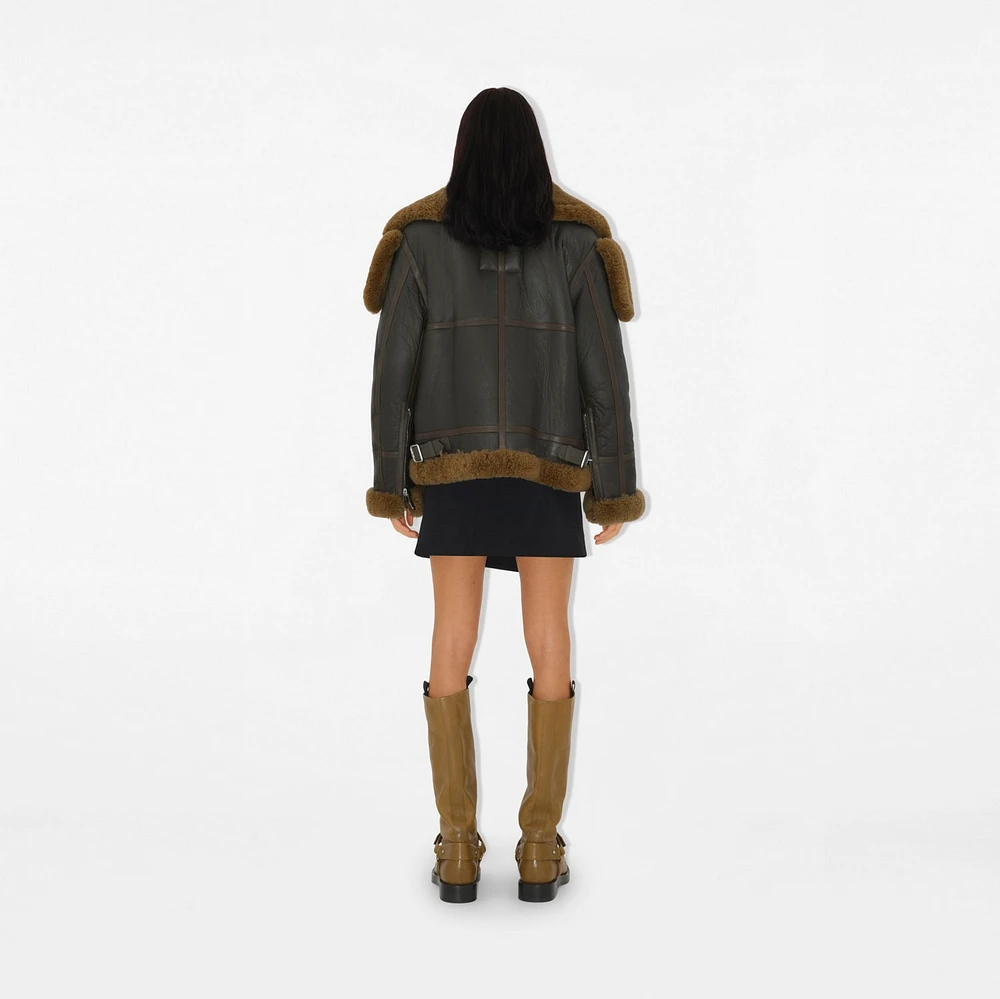 Shearling Aviator Jacket in Otter - Women | Burberry® Official