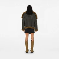 Shearling Aviator Jacket in Otter - Women | Burberry® Official