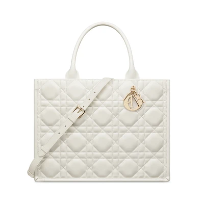 Dior Book Tote